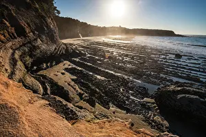 Zealand Prints: Sunlight shines on eroded coastal cliffs and rock shelves during low tide at Cape Foulwind