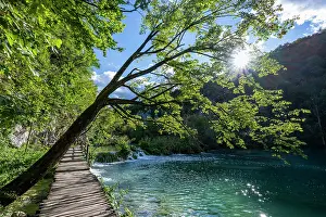 Waterfalls Prints: Sunlight shines through trees by the water in Plitvice Lakes National Park Croatia during a clear day