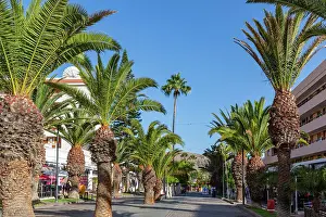 Sidewalk Prints: Sunny street lined with palm trees leading towards modern buildings under a clear blue sky in Los Cristianos
