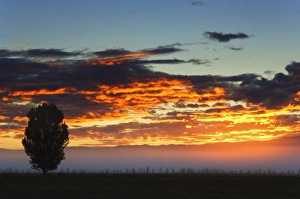 Illuminating Prints: Sunrise, Alexandra