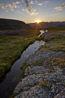 National Forest Prints: Sunrise in an Alpine meadow with wildflowers