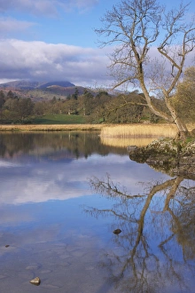 Sunrise, Ambleside, Lake Windermere, Lake District National Park, Cumbria, England, United Kingdom, Europe