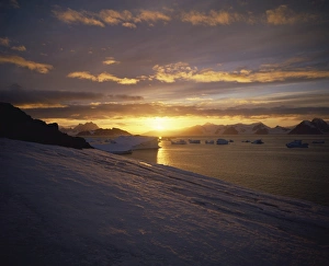 Down Prints: Sunrise, Antarctica, Polar Regions