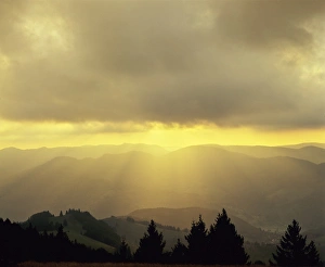Belchen Mountain Prints: Sunrise on Belchen Mountain, Black Forest, Baden Wurttemberg, Germany, Europe