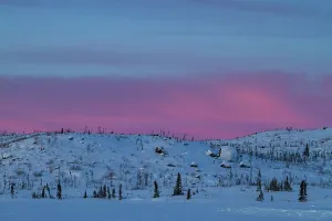Northern Prints: Sunrise over the boreal forest and frozen landscape near Great Slave Lake in Northwest Territories