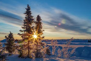 Northern Prints: Sunrise over boreal forest and Great Slave Lake near Yellowknife in Northwest Territories Canada