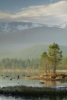Mist Collection: Sunrise over the Cairngorm Mountains and Loch Morlich, Scotland, United Kingdom, Europe