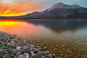 Glowing Prints: Sunrise at Driftwood Beach with Vimy Peak in the background, Waterton Lakes National Park