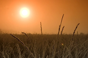 Sunrise in the fen