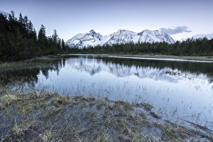 Province Of Sondrio Prints: Sunrise frames the snowy peaks reflected in Lake Entova