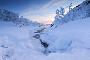 Abisko Prints: Sunrise on the frozen river and forest, Abisko, Kiruna Municipality, Norrbotten County