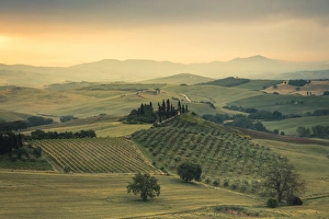 Verdant Prints: Sunrise on the gentle green hills of Val d Orcia