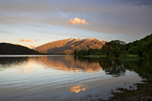 Otago Prints: Sunrise over Glendhu Bay on Lake Wanaka and Mount Aspiring