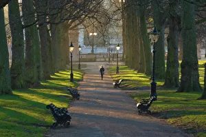 London Gallery: Sunrise, Green Park, London, England, United Kingdom, Europe