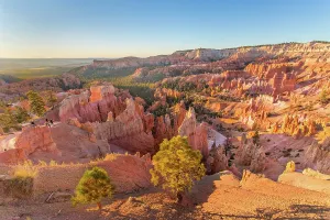 Pillars Prints: Sunrise illumination at Sunrise Point showing hoodoos in Bryce Canyon National Park