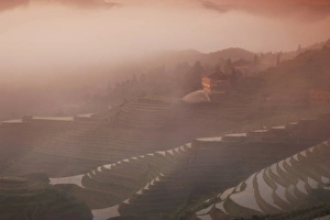 Guangxi Prints: Sunrise, Longsheng terraced ricefields, Guangxi Province, China, Asia