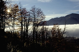 Sunrise on the lower slopes of Cerro Catedral, Bariloche, Argentina, South America
