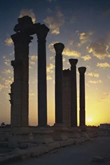 Images Dated 27th February 2008: Sunrise on main street, Palmyra, UNESCO World Heritage Site, Syria, Middle East