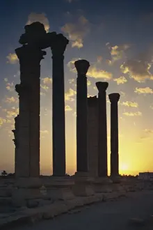Syria Prints: Sunrise on main street, Palmyra, UNESCO World Heritage Site, Syria, Middle East