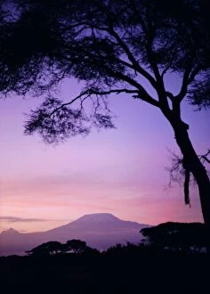 Images Dated 4th August 2008: Sunrise, Mount Kilimanjaro