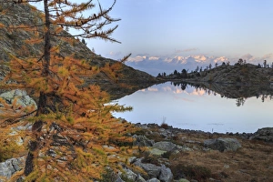 Graian Alps Prints: Sunrise on Mount Rosa seen from Lac Blanc, Natural Park of Mont Avic, Aosta Valley