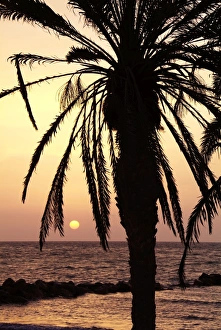 Sun Rises Prints: Sunrise near Sidi Slim, Island of Jerba, Tunisia, North Africa, Africa