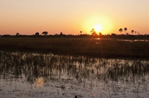 Images Dated 3rd June 2009: Sunrise, Okavango Delta, Botswana, Africa
