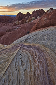 Natural Pattern Prints: Sunrise over sandstone, Valley Of Fire State Park, Nevada, United States of America