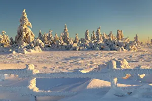 Black Forest Prints: Sunrise at Schliffkopf mountain in winter, Black Forest, Baden Wurttemberg, Germany