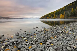 Montana Prints: Sunrise on the shore of Lake McDonald, Glacier National Park, Montana, United States