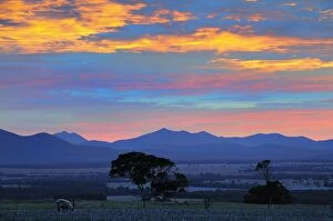 Images Dated 27th April 2008: Sunrise, Stirling Range, Stirling Range National Park, Western Australia