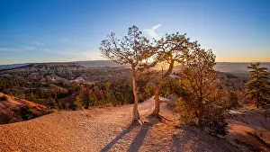 Amphitheatre Prints: Sunrise view from Sunrise Point with trees and rocks at Bryce Canyon National Park in Utah during early morning hours