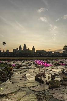 Nymphaeaceae Prints: Sunrise over the west entrance to Angkor Wat