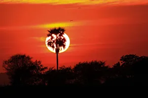Mandalay Prints: Sunset, Bagan, Myanmar (Burma), Asia