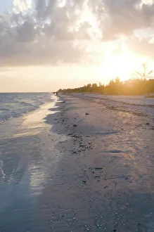 Images Dated 22nd October 2009: Sunset on beach, Sanibel Island, Gulf Coast, Florida, United States of America