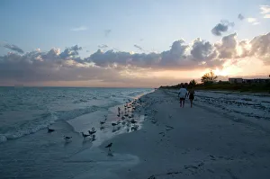 Images Dated 22nd October 2009: Sunset on beach, Sanibel Island, Gulf Coast, Florida, United States of America
