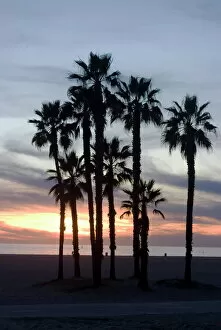 Images Dated 6th January 2010: Sunset over the beach, Santa Monica, California, United States of America, North America