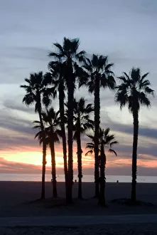 Santa Monica Prints: Sunset over the beach, Santa Monica, California, United States of America, North America