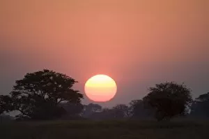 Sunset, Busanga Plains, Kafue National Park, Zambia, Africa