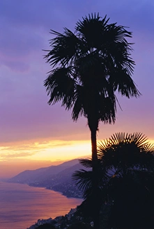 Portofino Prints: Sunset, Camogli