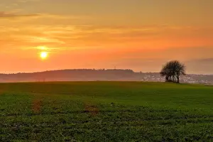 Sunset and field, Rhineland-Palatinate (Rheinland-Pfalz), Germany, Europe