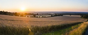 Surrey Prints: Sunset over fields just outside Guildford, Surrey, England, United Kingdom, Europe