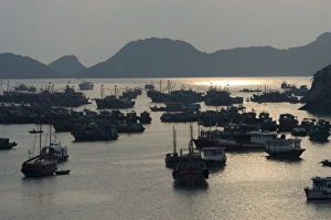 Sunset over fishing boats in harbour