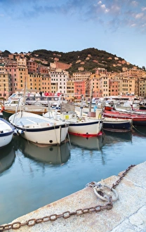 Liguria Prints: Sunset frames harbour and fishing village of Camogli