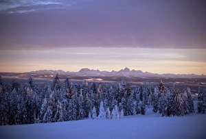Grand Tetons Prints: Sunset on Grand Tetons from Two Tops