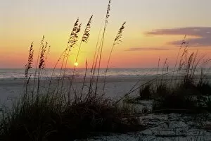 Natural Phenomena Collection: Sunset, Gulf Coast