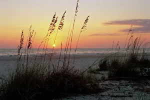 Images Dated 29th August 2008: Sunset, Gulf Coast