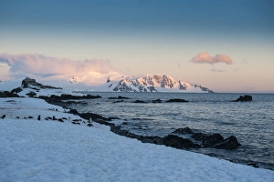 Images Dated 2nd December 2008: Sunset in Half Moon Bay, South Shetland Islands, Antarctica, Polar Regions