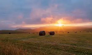 Glow Prints: Sunset over hay bales in South Downs National Park near Beachy Head, East Sussex, England