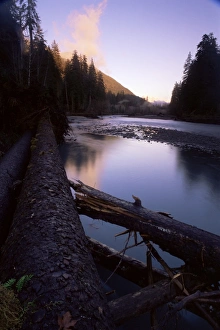Driftwood Prints: Sunset over the Hoh River